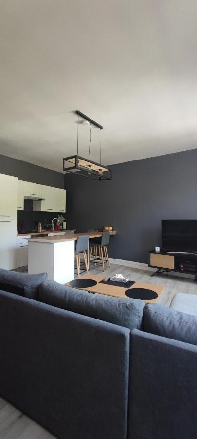 Appartement D'Hippolyte - Vue Musee Rimbaud Charleville-Mezieres Ngoại thất bức ảnh