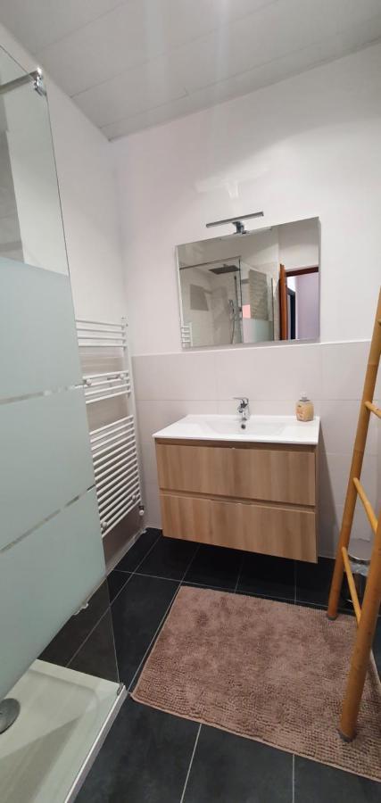 Appartement D'Hippolyte - Vue Musee Rimbaud Charleville-Mezieres Ngoại thất bức ảnh